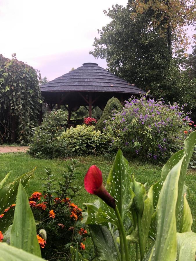 Apartmanove Ubytovanie Pod Dubom Polny Kesov Bagian luar foto