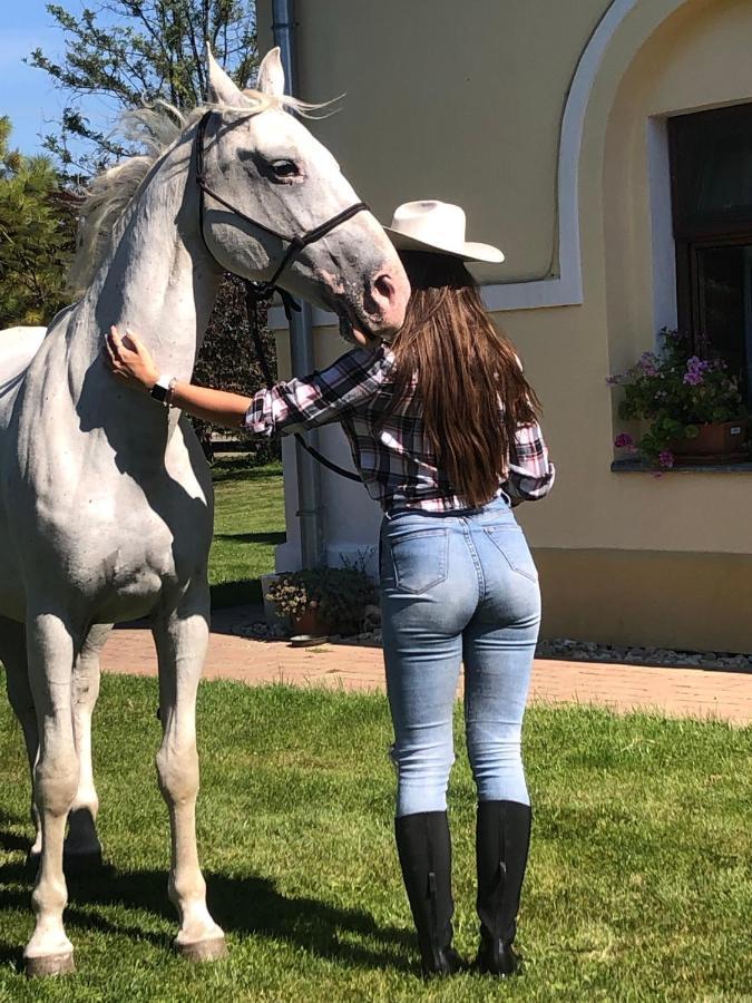 Apartmanove Ubytovanie Pod Dubom Polny Kesov Bagian luar foto