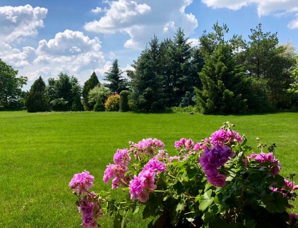 Apartmanove Ubytovanie Pod Dubom Polny Kesov Bagian luar foto