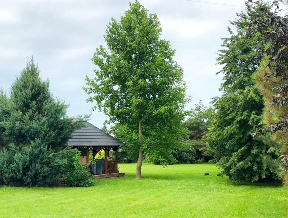 Apartmanove Ubytovanie Pod Dubom Polny Kesov Bagian luar foto